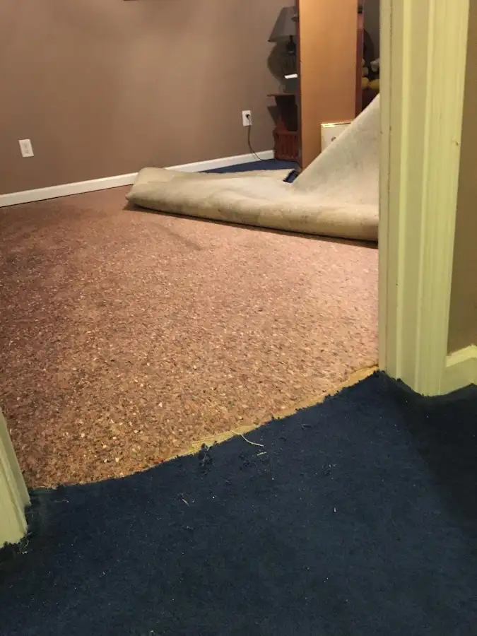 Carpet pad removal revealing water damage during Drying & Dehumidification in Azle